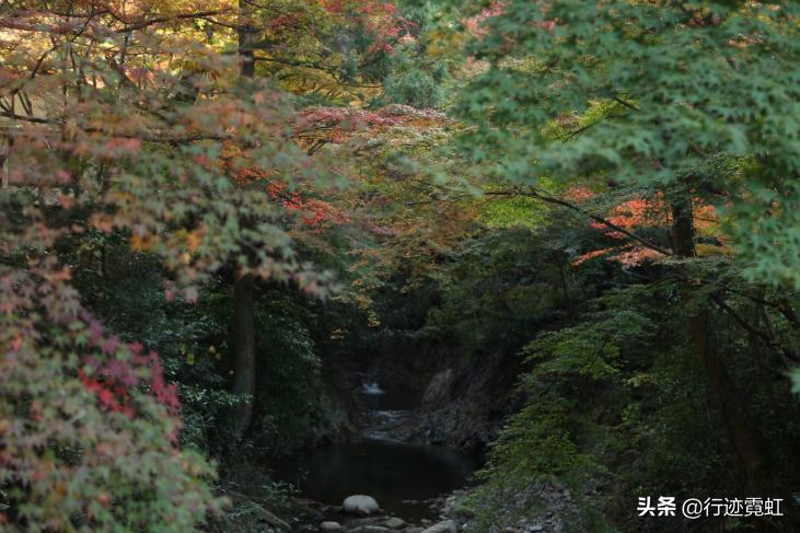 日本关西地区最古老的温泉，素有神户之腹地之称，拥有上千年历史