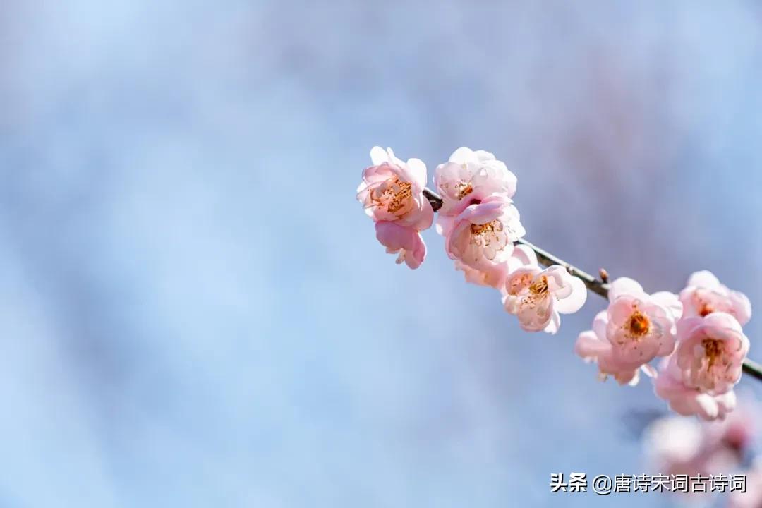 过年是新的一年还是立春,新的一年立春还是春节