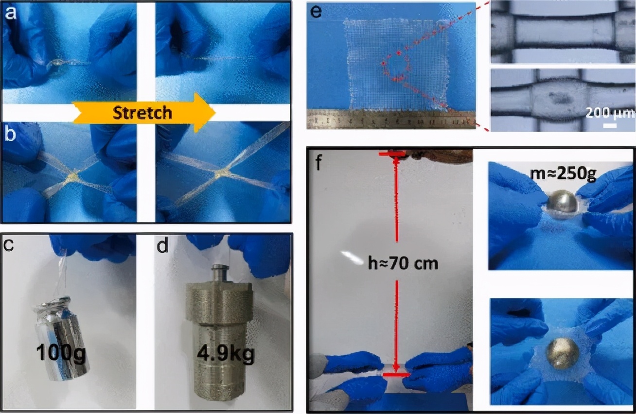 王晓龙/周峰《材料化学》3D打印超强韧性双物理交联壳聚糖凝胶