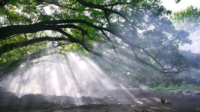 中国最美的海岸线霞浦,霞浦旅游之美
