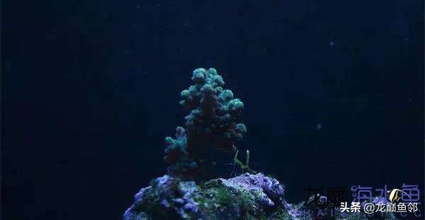 说出来都是泪！只有新下海的人才能体会这种痛，简直是全军覆灭