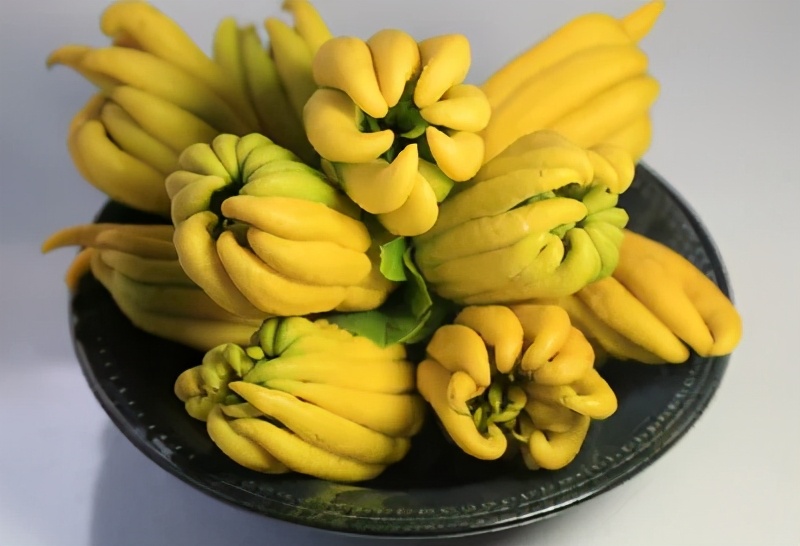 佛手柑精油,简单家庭佛手自制精油