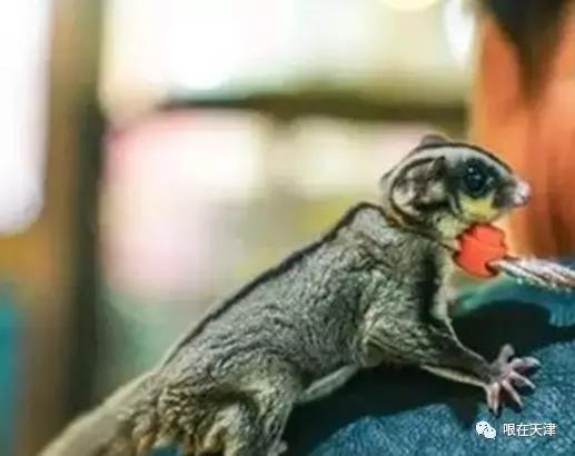 天津哏儿都的好去处,天津哏儿都