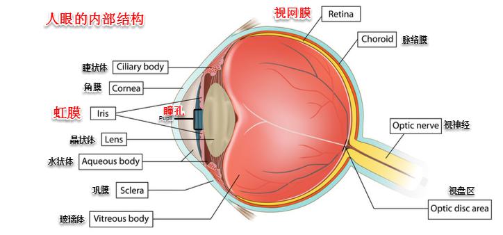 摄影入门9大必学基础之光圈篇,摄影实战中典型的光圈运用与技巧