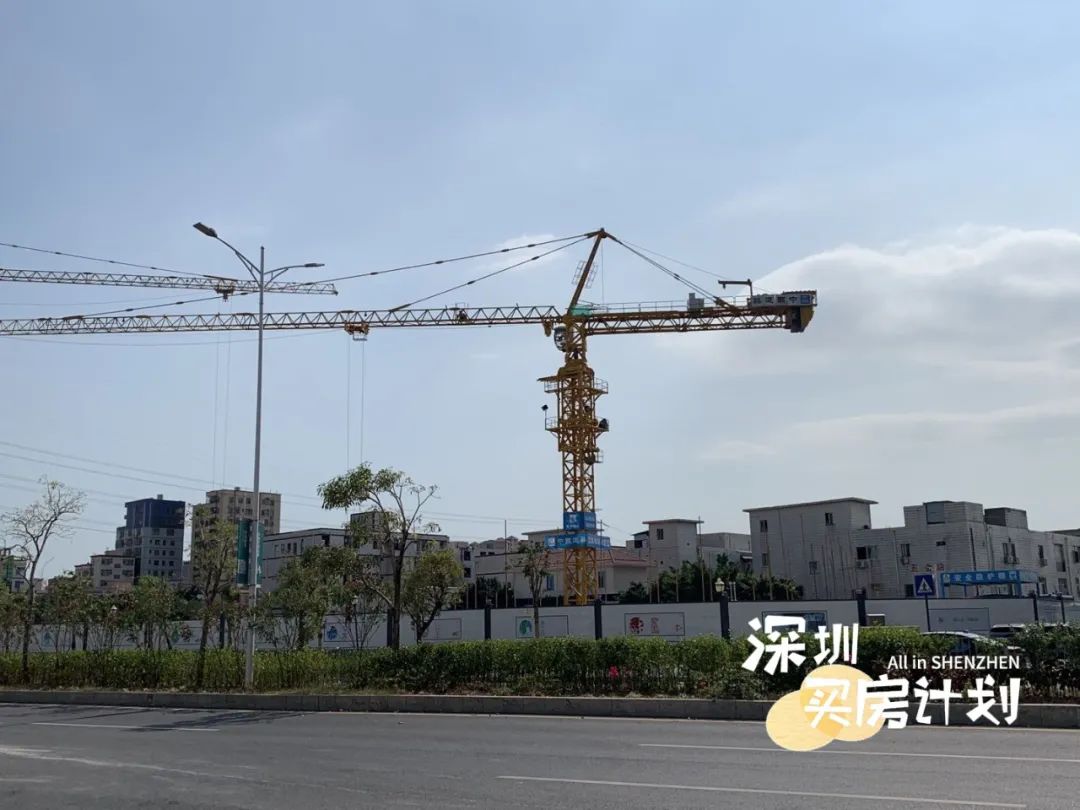 深圳12月打新火爆新盘,深圳千万新盘打新