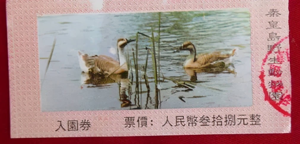 秦皇岛老君顶景区门票,秦皇岛有哪些值得一去的景点