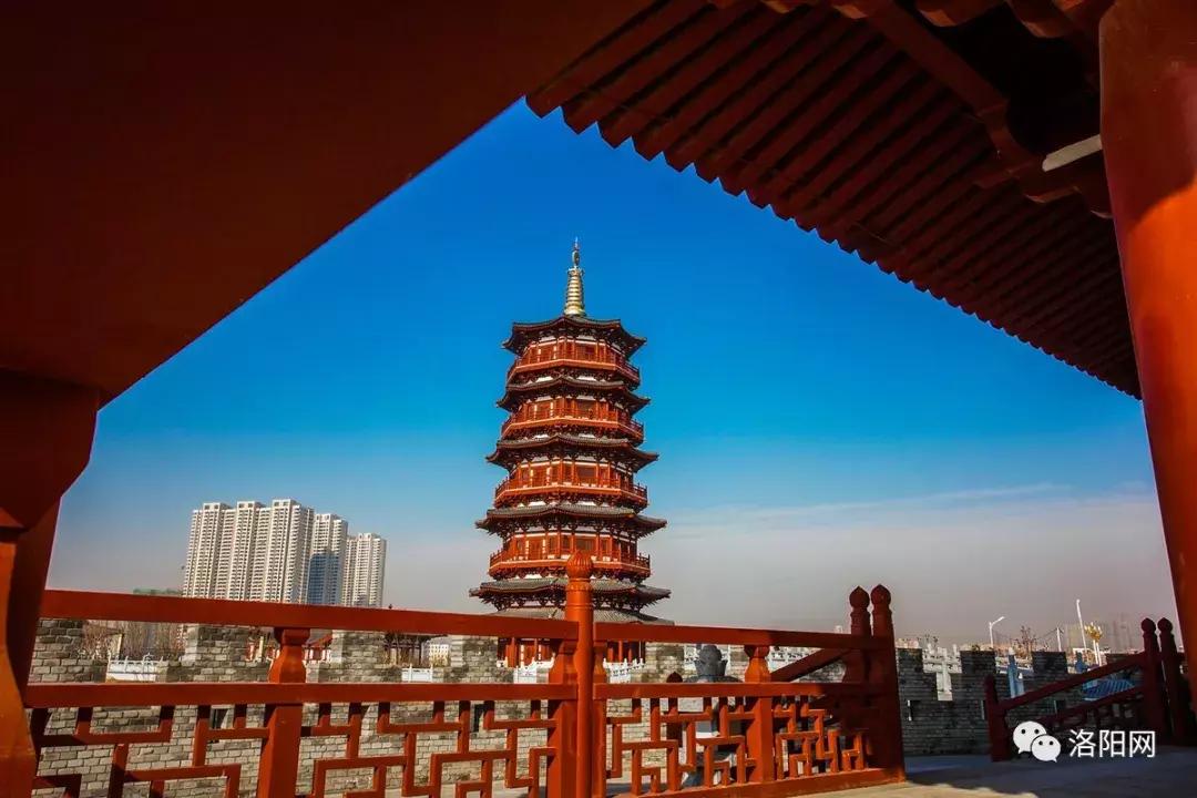 洛阳牡丹花会邀请,洛阳邀请全世界人民看牡丹