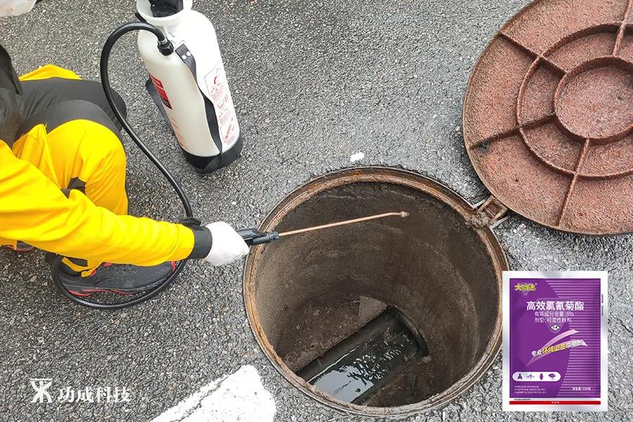 卫生间有小虫蛾蚋怎么治,卫生间出现蛾蚋怎么处理