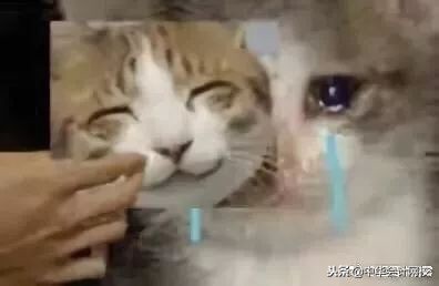 真相|所有人都劝你生孩子,却没人敢告诉你这些不为……