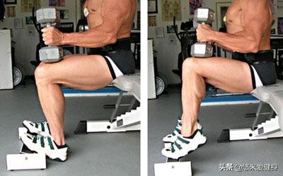 一副哑铃练遍全身肌肉新手,哑铃锻炼全身肌肉视频