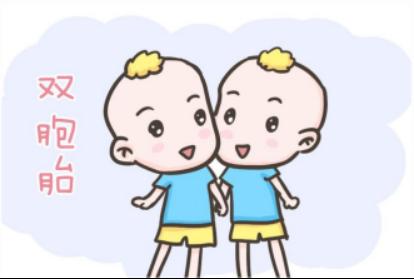 双绒双胎和单绒双胎的区别有哪些,单胎和双胎检查费用的区别