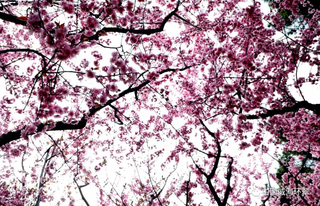 环翠景色,环翠美景