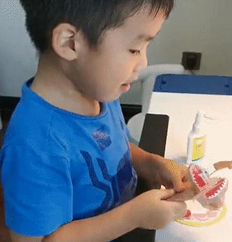 看完才知道原来国产玩具傻了20年,国际经典益智玩具