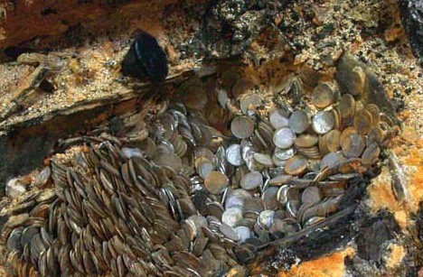 西班牙帝国衰落的启示,西班牙帝国的衰落根本原因