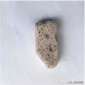 被写作业逼疯的家长,被陪写作业逼疯的家长