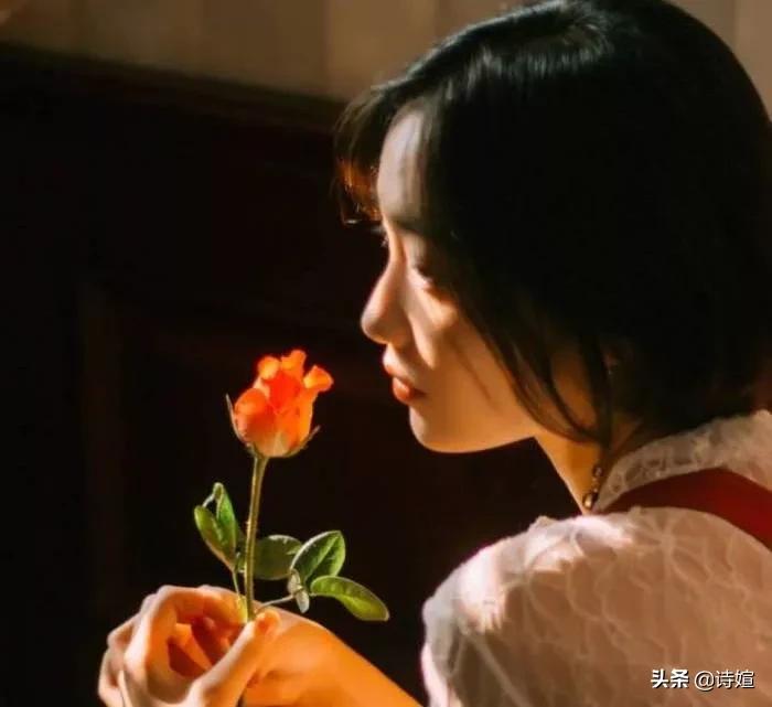 阿楚|眷恋的年华，却只是短暂狂欢