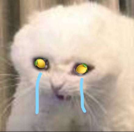 被柠檬酸到的表情包,柠檬酸酸的表情包