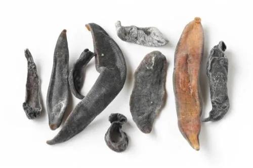 养殖水蛭的骗局有哪些手段,水蛭养殖真的很挣钱吗