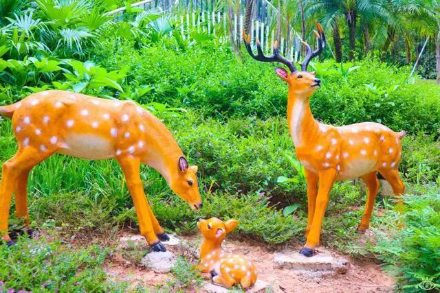 深圳海边最好的公园,深圳有几个靠海的公园