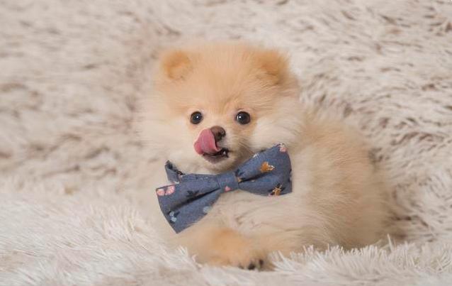 零基础学ps美工多久可以学会,美工薪资高不高