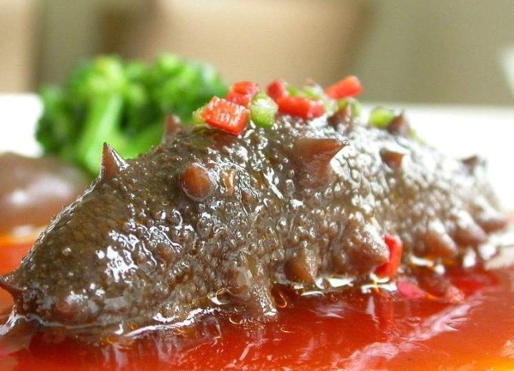 葱烧海参活海参怎么做汤,海参可以和香菇一起炖吗