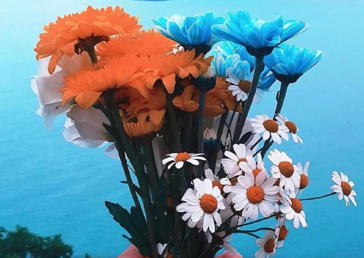 爱你的人会投其所好,表达一个人爱你爱到竭尽所能