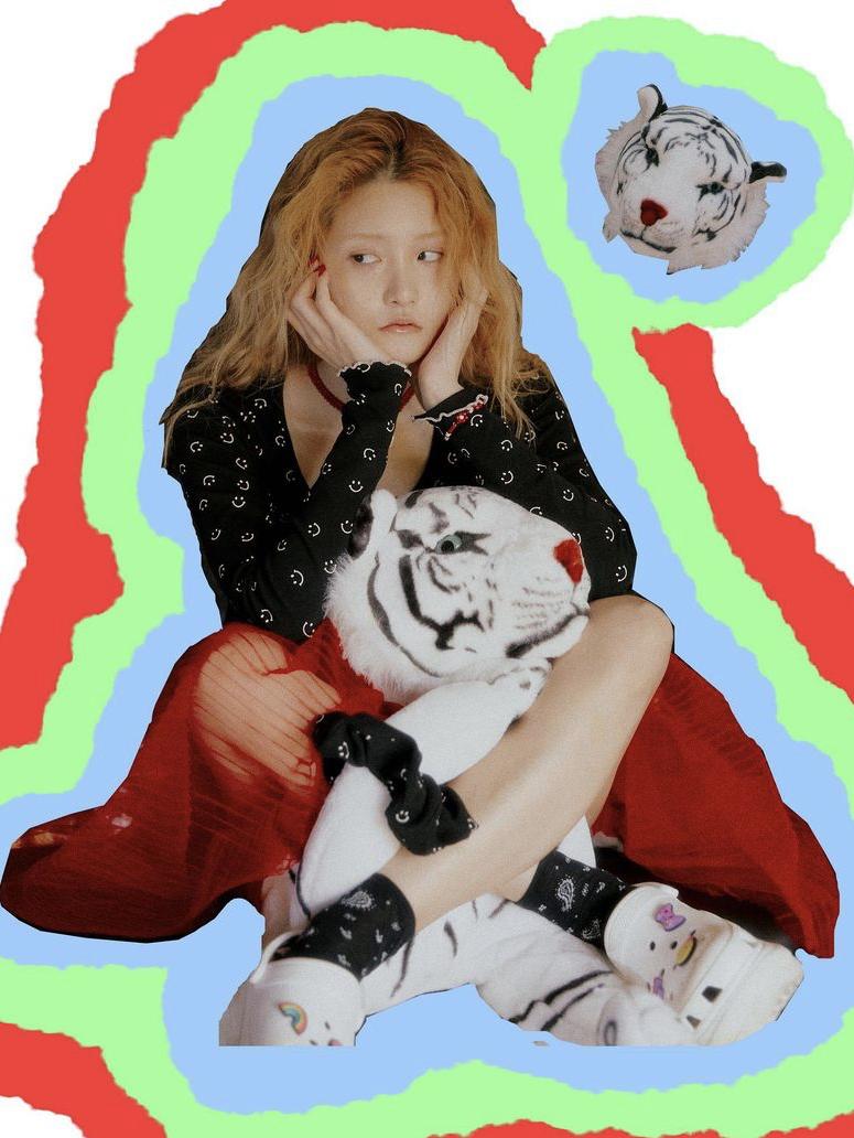 明星都在代言的小众品牌,五个逼格超高的经典小众品牌