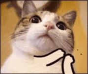 unity鐢熷瓨鎵嬫父,unity鍙戝竷鎵嬫父