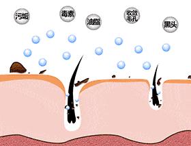 昕芙丽昕雅莎护肤品,昕芙丽和昕雅莎