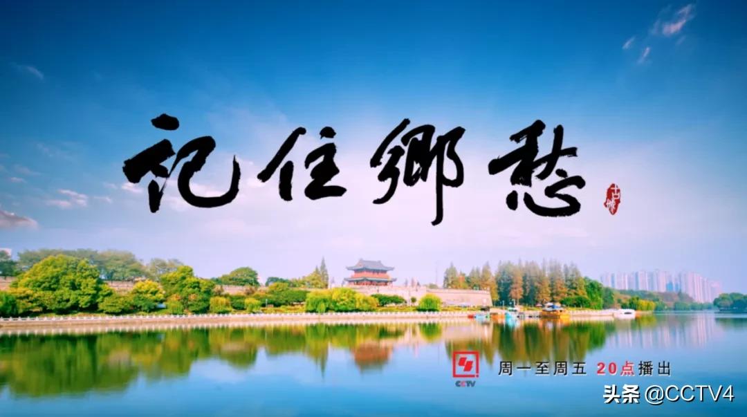 华佗故乡亳州药都之乡简介,亳州为什么被称为华佗故里