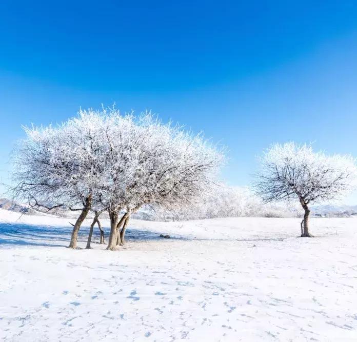 雾凇之美宛若仙境,连云港花果山雾凇美得像仙境