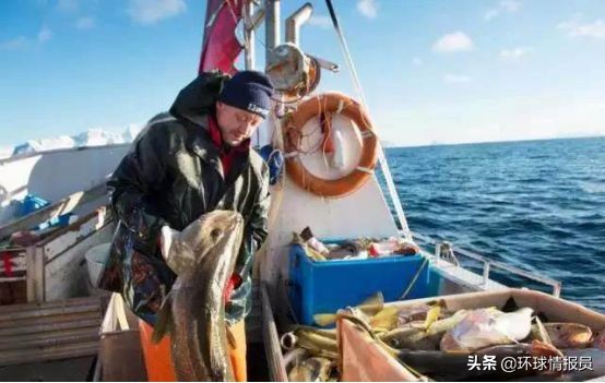 脱欧！位于北美的格陵兰岛，为何在1985年脱离了欧盟（欧共体）？