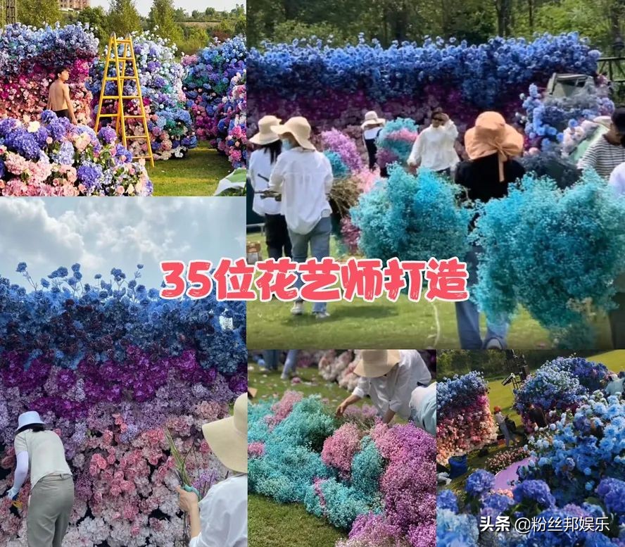 几十万打造宜昌豪横求婚，现场花艺师就35位，YY阮君与前男友结婚