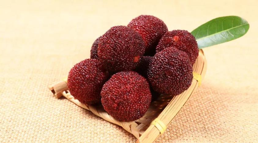 杨梅里的虫子吃进肚子怎么办,杨梅为什么会招虫子