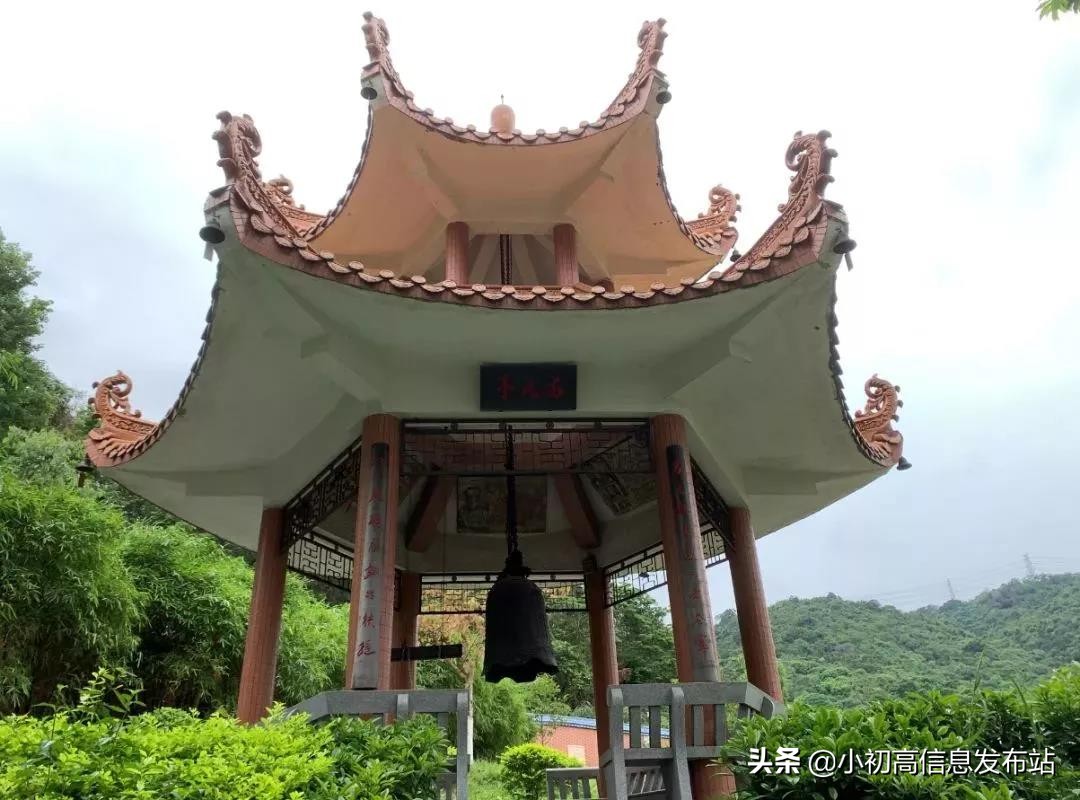 广州小升本,小升初广州市