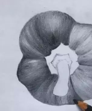 素描彩铅蔬菜画,蔬菜素描画法步骤图