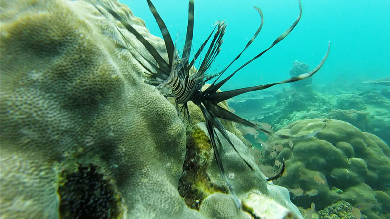 三亚一日游必买的婚纱 (三亚婚纱旅拍攻略)