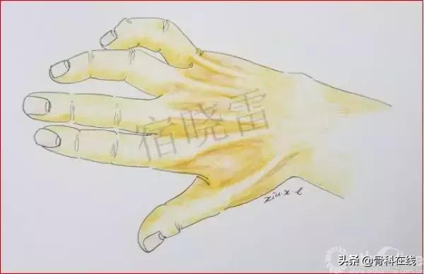 手绘科普类,手绘类科普