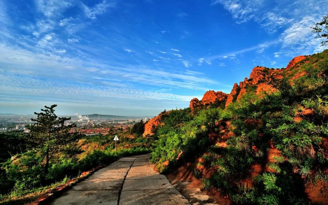 有一种绿绿绿绿绿绿绿，叫赤峰的林