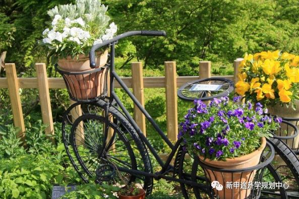 川大风景园林学姐学长,风景园林专硕怎么复习