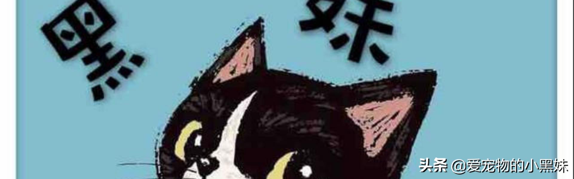 猫咪坠楼颚骨断裂自己能愈合吗,猫咪坠楼怎么治疗