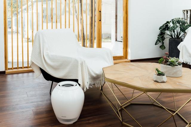 日本净化加湿器,可以净化空气的加湿器