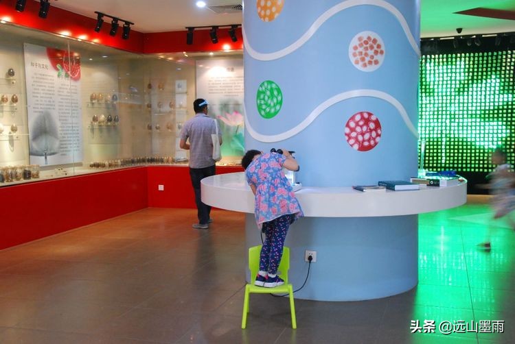 植物科学活动,第二十届公众科学日合肥