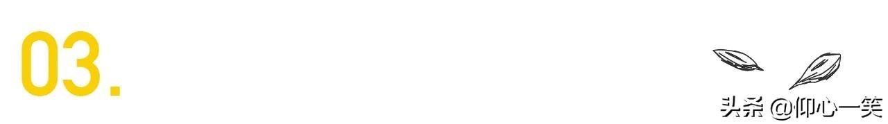 每年的今天总会想起很多往事,张国荣抑郁症症状