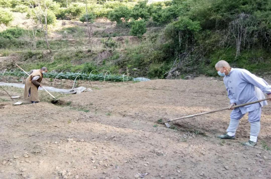 抢抓农时开展农业生产,农民纷纷抢抓春耕生产有利时机