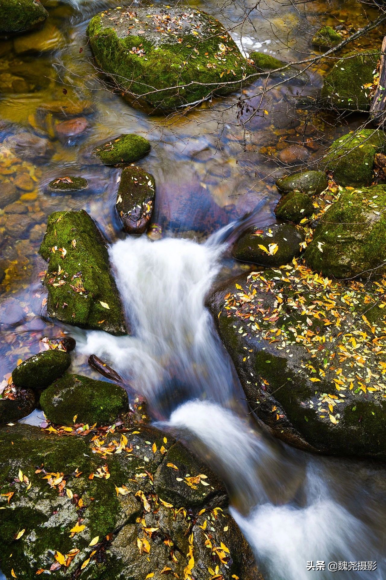 留坝秦岭之夜,留坝秦岭森林公园