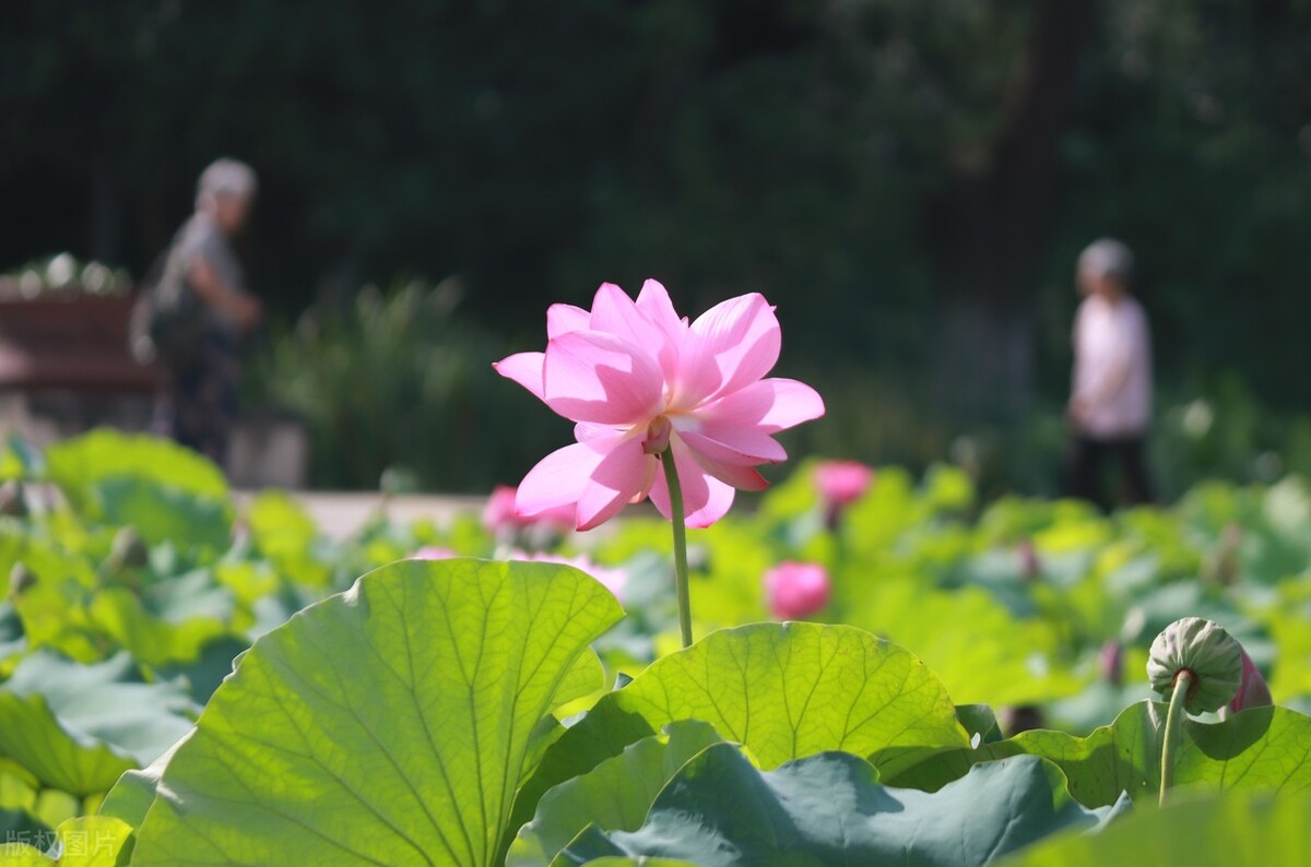 江苏常州市,江苏常州市家具家居