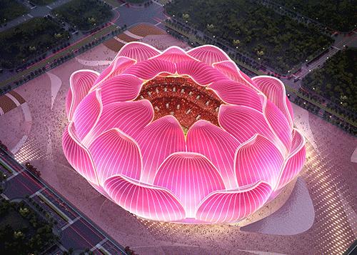 恒大莲花球场最新造型,恒大荷花球场好不好