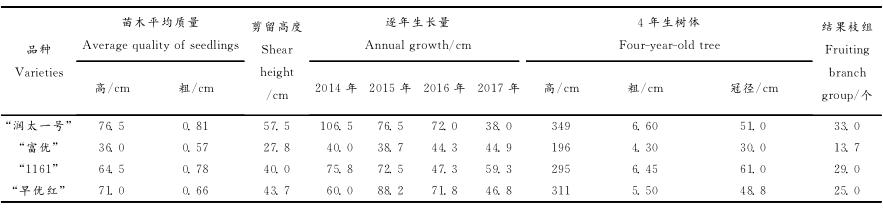 柱状梨修剪技术视频,柱状苹果修剪方法