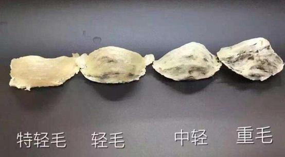 燕窝知识儿童篇,你不知道的营养知识